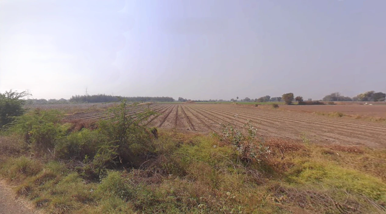 Paddhari, Gujarat 360110, India