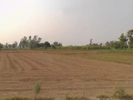 Mawana, Uttar Pradesh, India preview 3