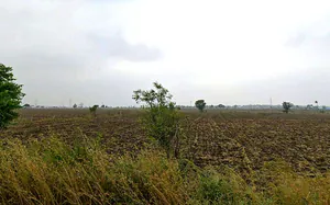Kalali, Vadodara, Gujarat, India preview 3