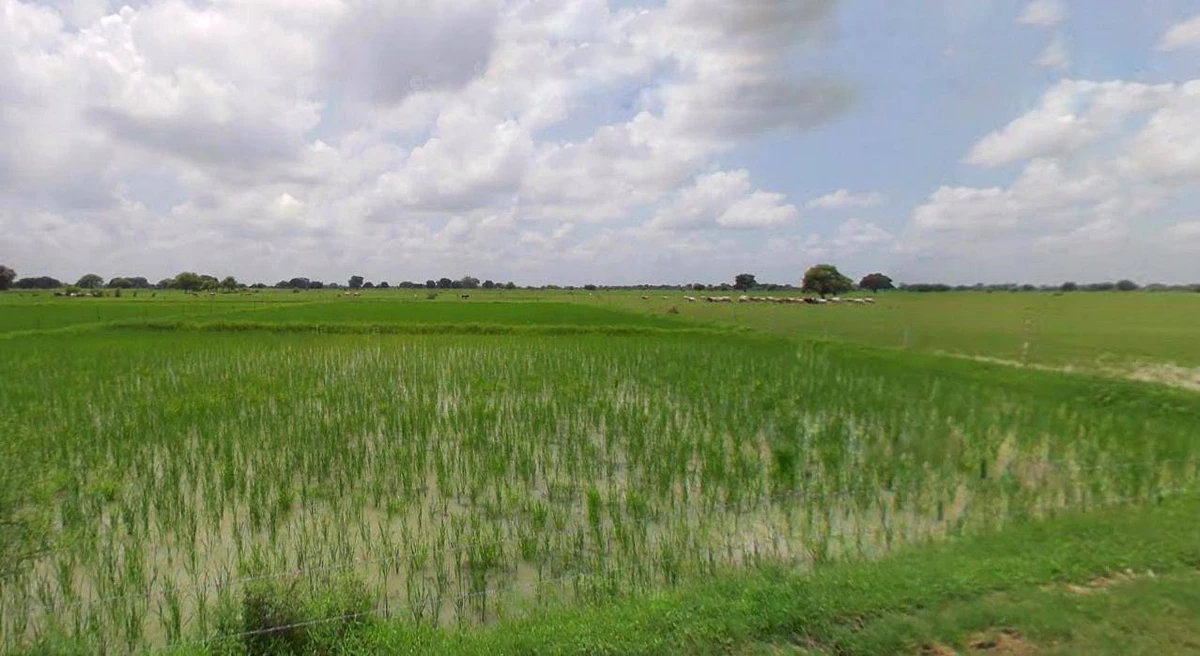 Sri Ganganagar, Rajasthan, India