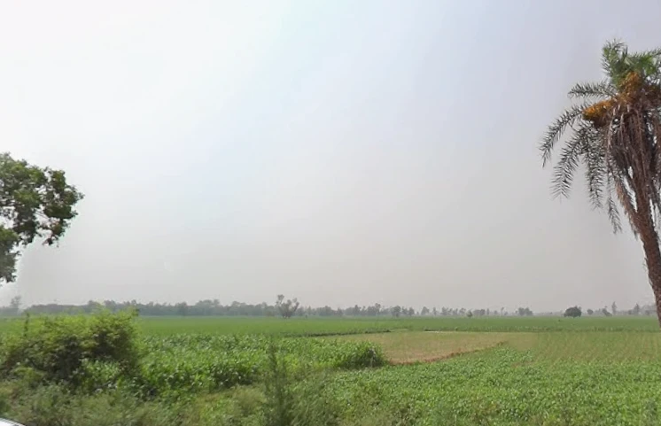 Jhunjhuni, Uttar Pradesh 250401, India