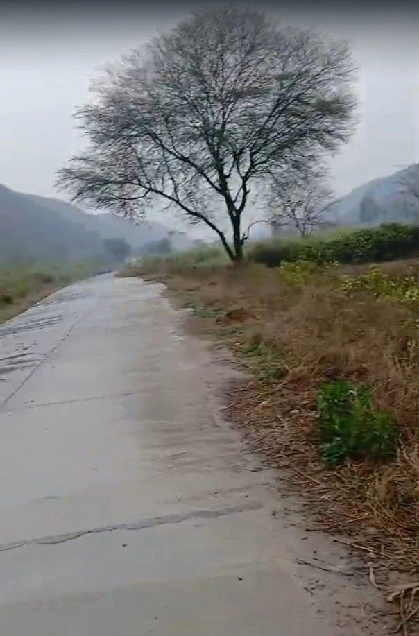 PJ7R+WW Jhadoli, Rajasthan, India preview 2