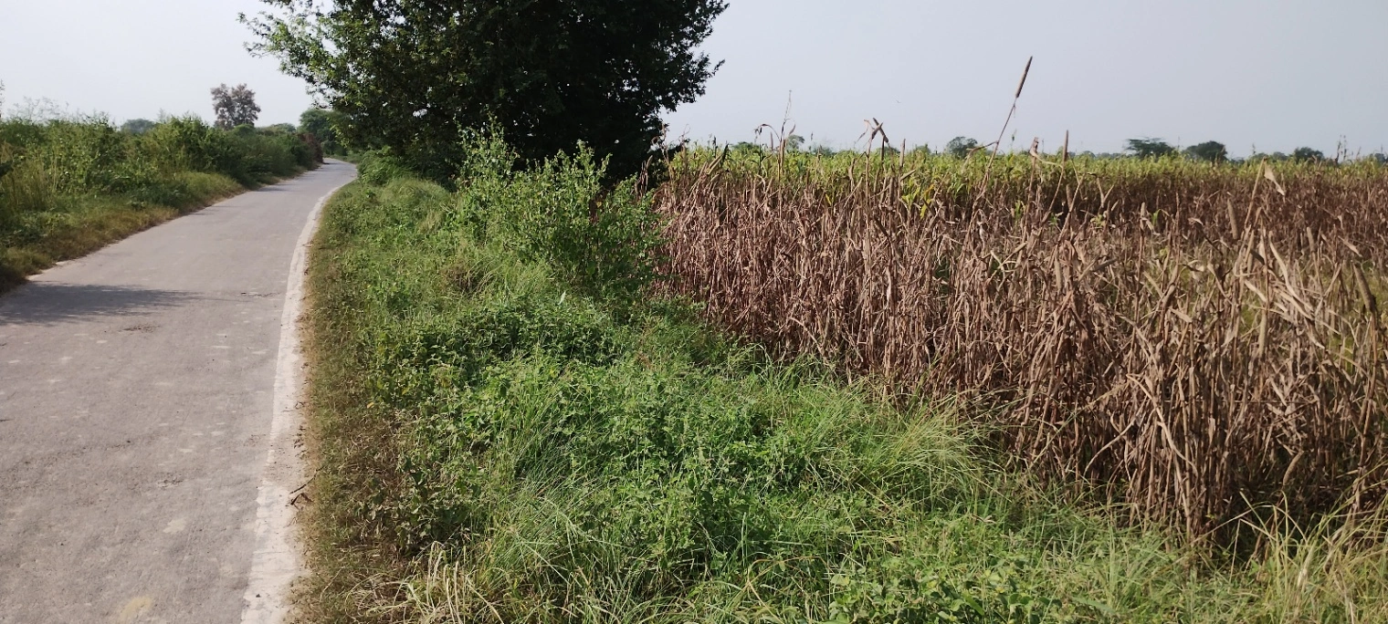 Nagla Faujdar, Rajasthan 321203, India