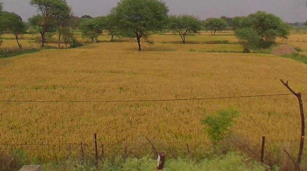 Kotni, Chhattisgarh 493441, India preview 2