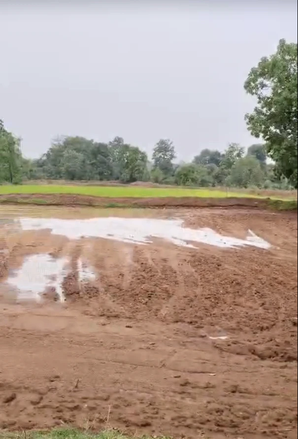 RRRQ+JQJ, Indore, Ringnodiya, Madhya Pradesh, India