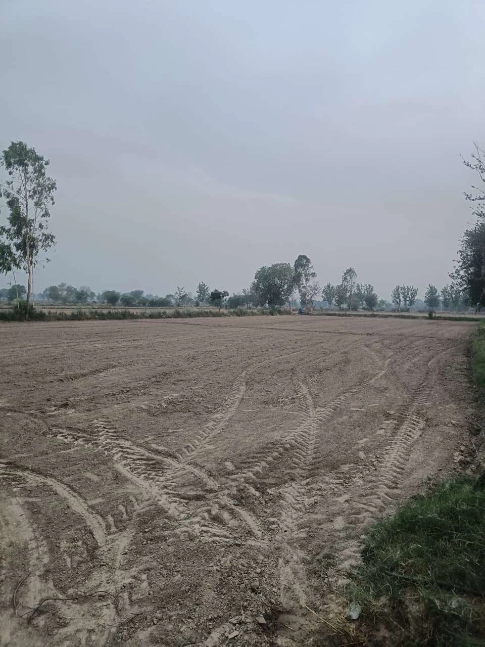 Barhana, Uttar Pradesh, India