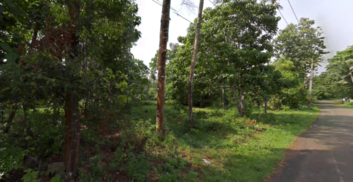 697J+MX3, Karayamparambu, Karukutty, Angamaly, Kerala 683576, India