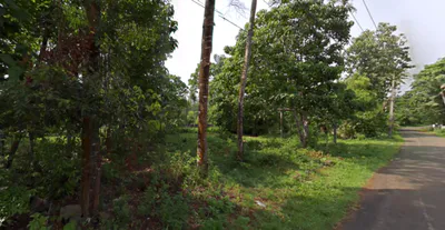 697J+MX3, Karayamparambu, Karukutty, Angamaly, Kerala 683576, India preview 3