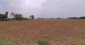 Bijnor, Uttar Pradesh 246701, India preview 2