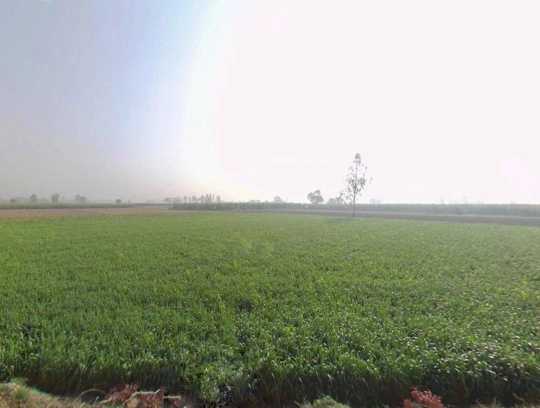 Burja, Rajasthan 301001, India preview 2