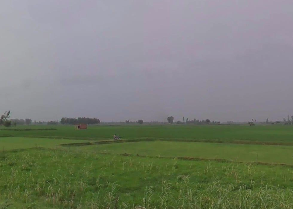 Navdiya, Uttar Pradesh 242042, India