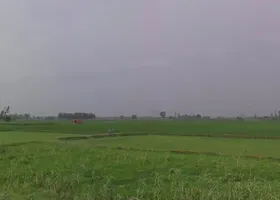 Navdiya, Uttar Pradesh 242042, India preview 2