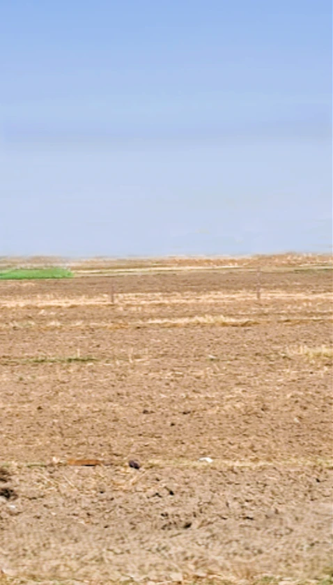 Bagla Rd, Hisar, Haryana, India