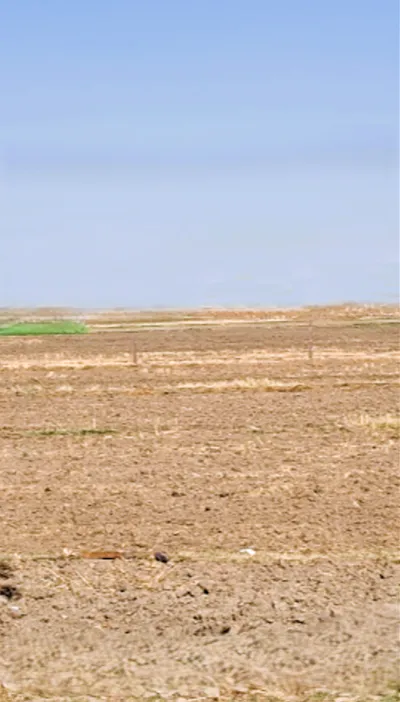 Bagla Rd, Hisar, Haryana, India preview 3