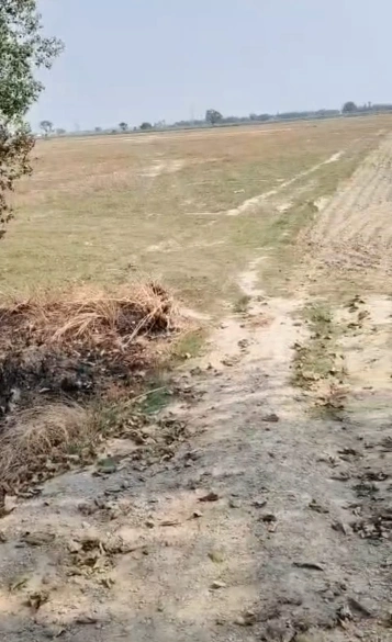 Dihwa, Ballia, Uttar Pradesh, India preview 4