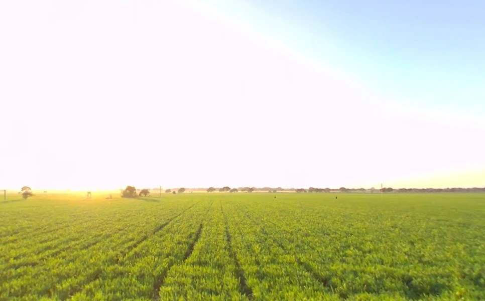 Ghatabillod, Madhya Pradesh 454773, India