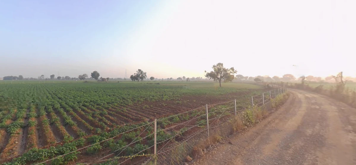 6G4W+5X Kedarpur, Maharashtra, India