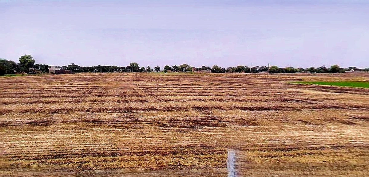 Dewas, Madhya Pradesh 455001, India