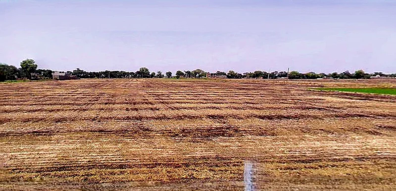 Dewas, Madhya Pradesh 455001, India preview 2