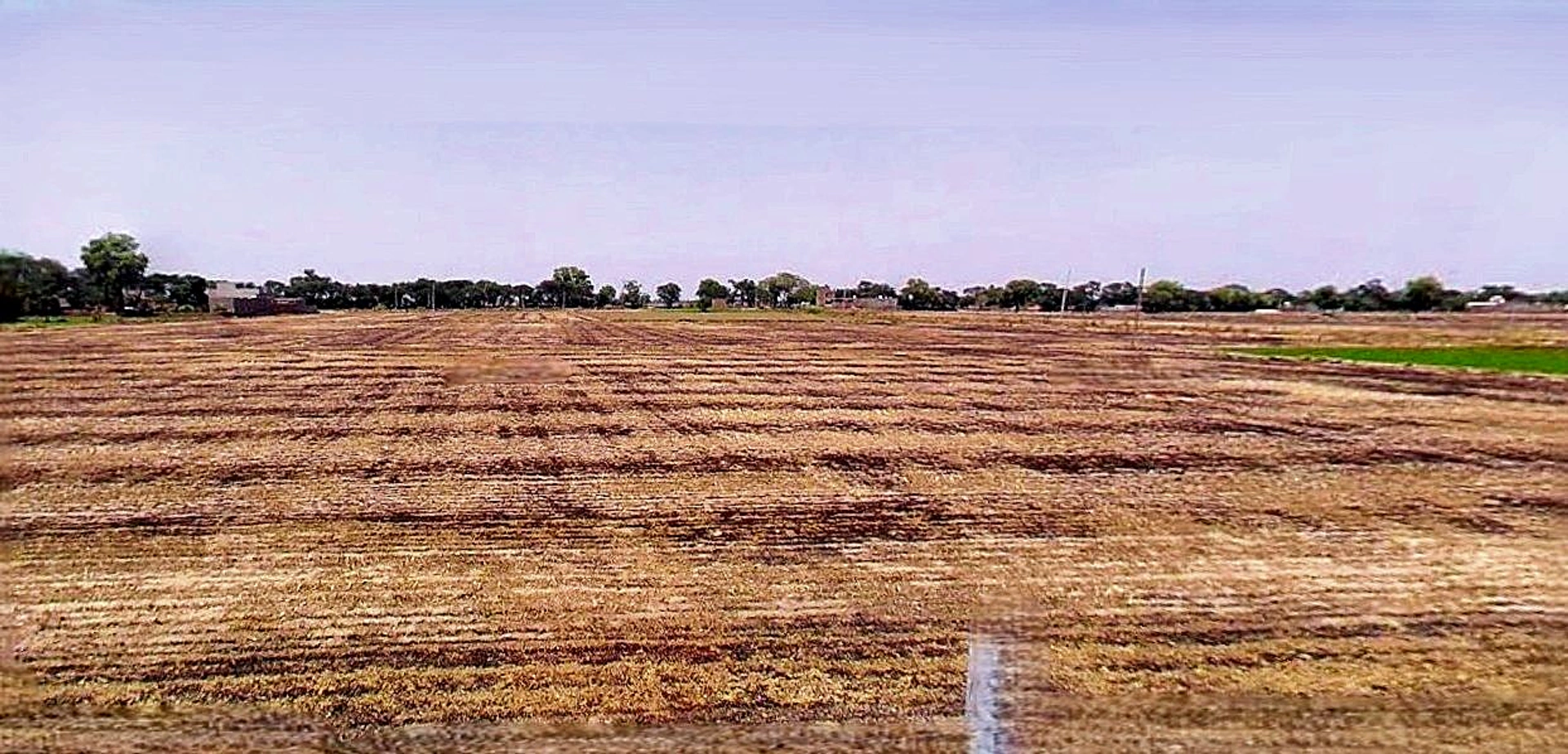 Dewas, Madhya Pradesh 455001, India