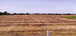 Dewas, Madhya Pradesh 455001, India preview 2