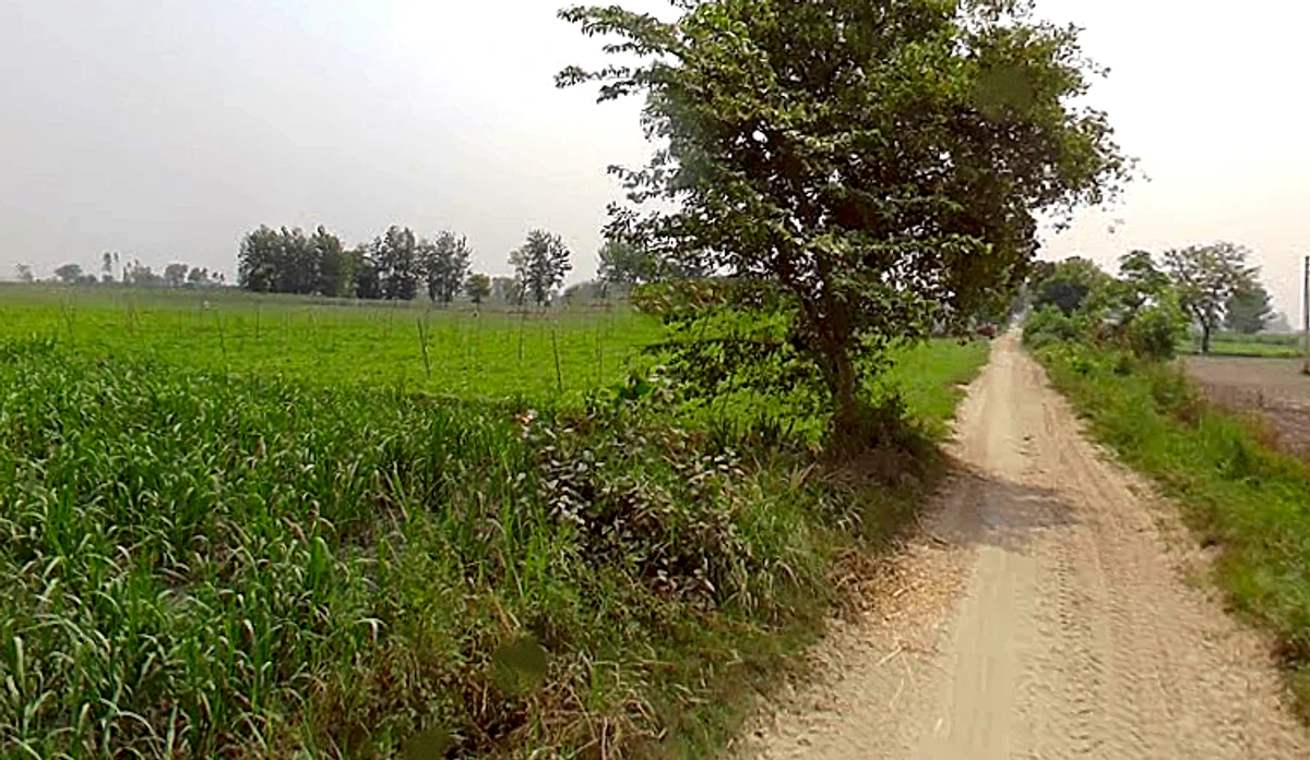 Hastinapur, Uttar Pradesh 250404, India