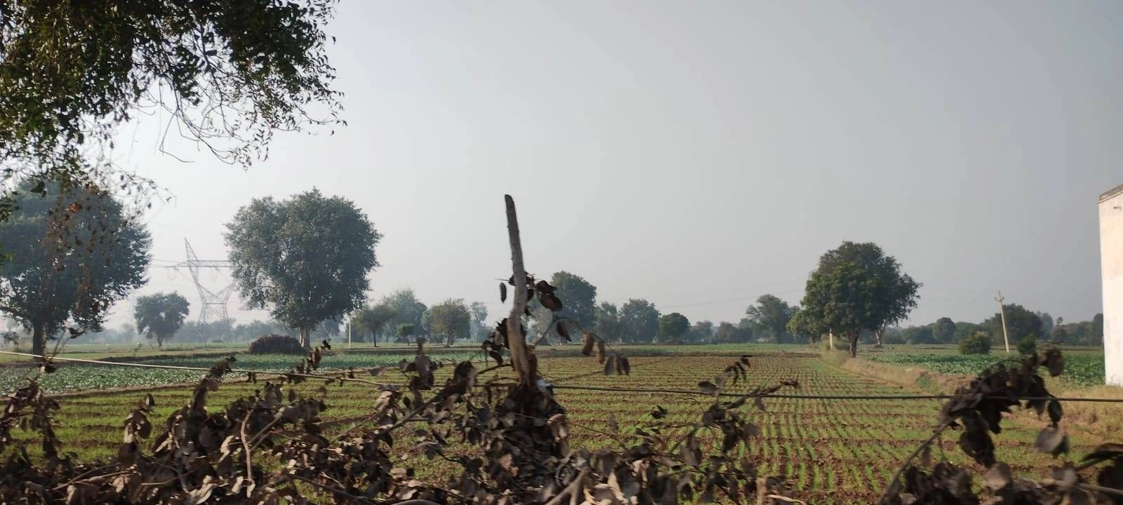 Morni Hills, Panchkula, Haryana, India preview 3