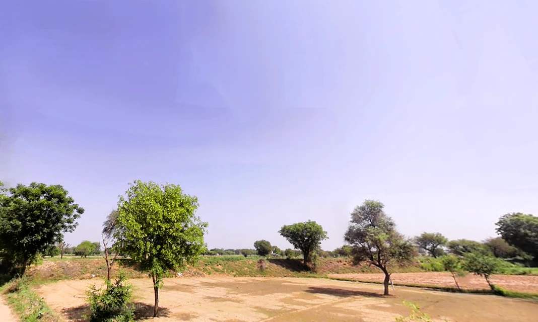 Koka, Haryana, India