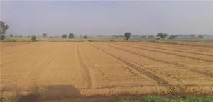 Karnal, Haryana, India preview 2