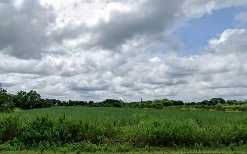 RWFG+JRV, Sastapur, Karnataka, India preview 3