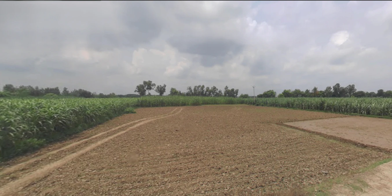 Ramnagar, Uttarakhand 244715, India