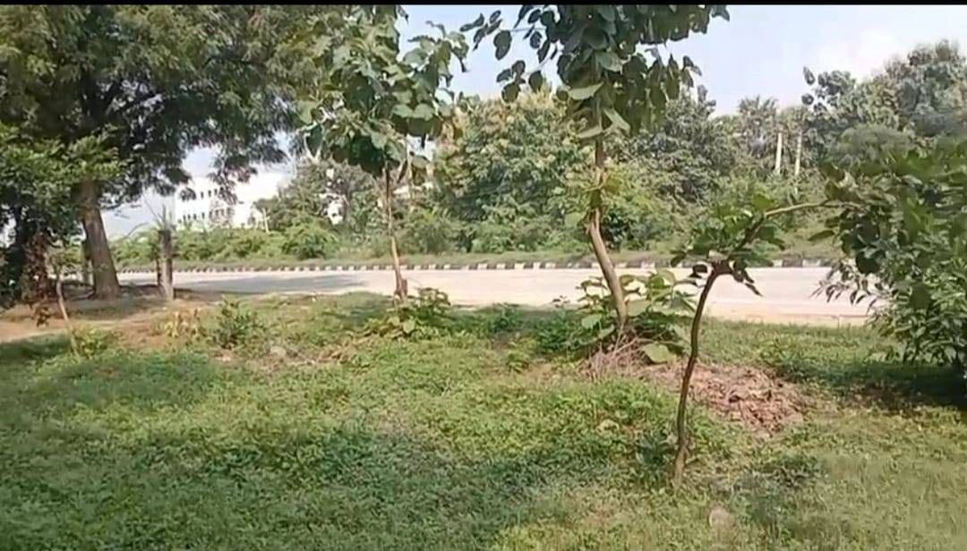 Chunar, Mirzapur, Uttar Pradesh 231304, India preview 5