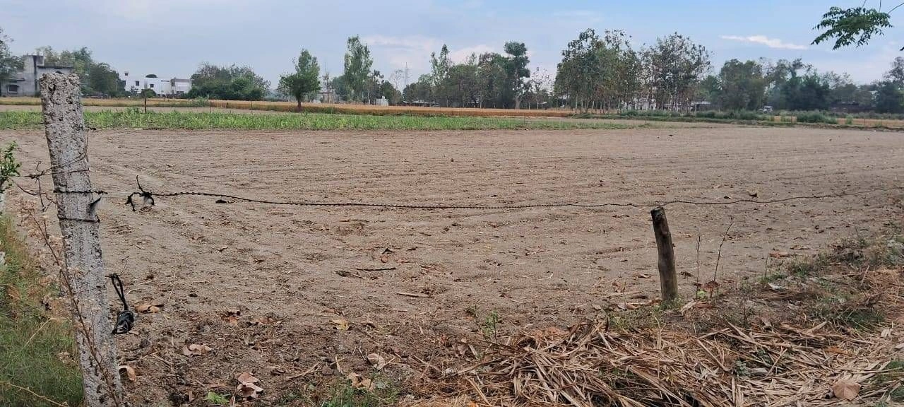 Q5VH+94 Manjha Kala, Uttar Pradesh, India