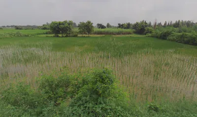 Kanth, Uttar Pradesh 244501, India preview 3