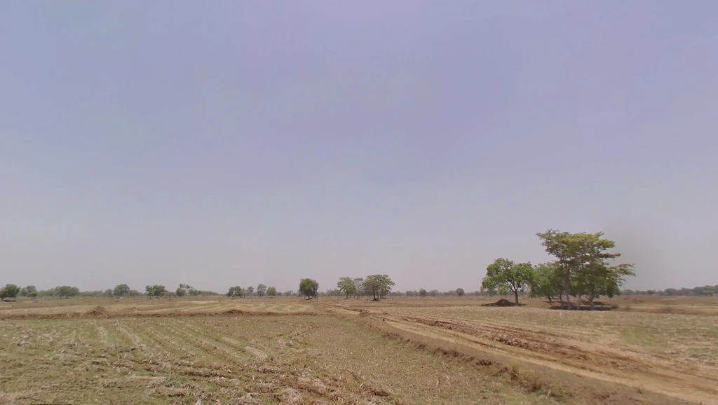 Khorpa, Chhattisgarh 493661, India