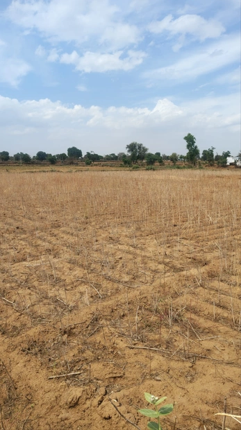 Jaithal, Rajasthan 323301, India