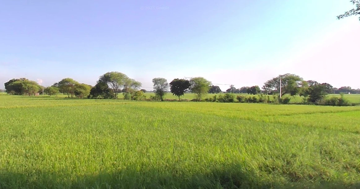 Sajod, Madhya Pradesh 465001, India