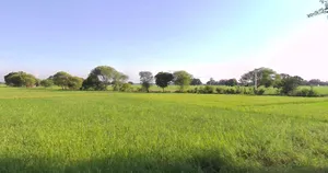 Sajod, Madhya Pradesh 465001, India preview 2