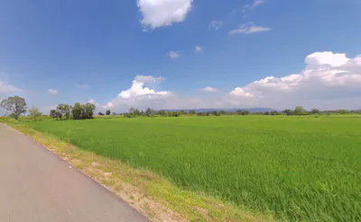 Kuturachuan, Odisha 768222, India preview 2