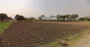 Sri Ganganagar, Rajasthan, India preview 3