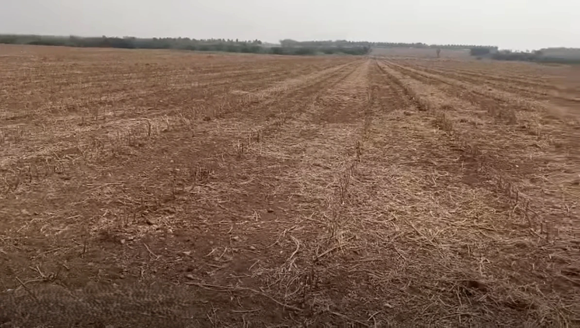 Penukonda, Andhra Pradesh, India