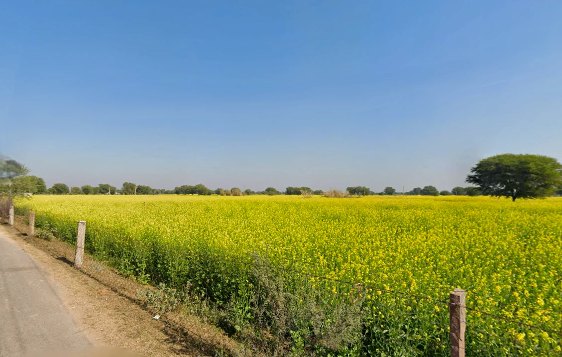 Kotkhawda, Rajasthan 303908, India