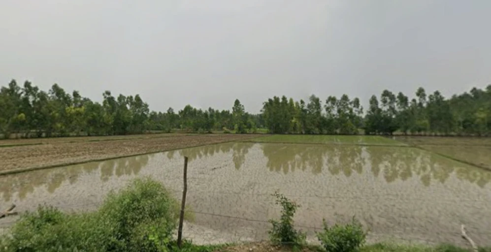 FM7W+4F9, Qidwai Naga, Muzaffarnagar, Uttar Pradesh 251001, India
