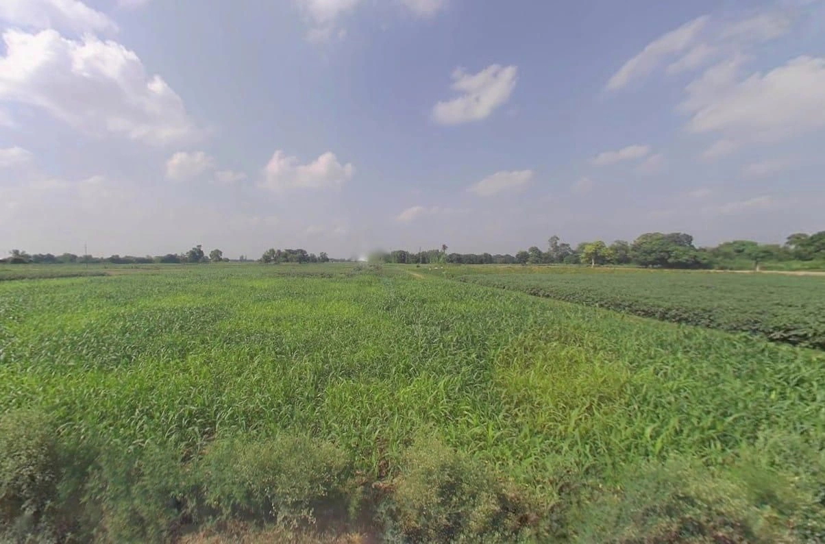 Uldhan, Uttar Pradesh 245206, India