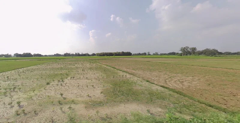 Sanwer, Madhya Pradesh 453551, India preview 3