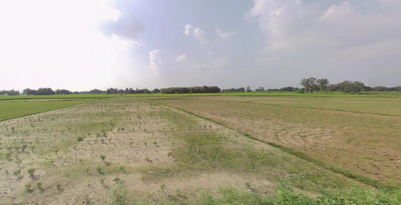 Sanwer, Madhya Pradesh 453551, India