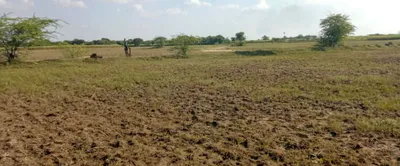 Ellenabad, Haryana 125102, India preview 3