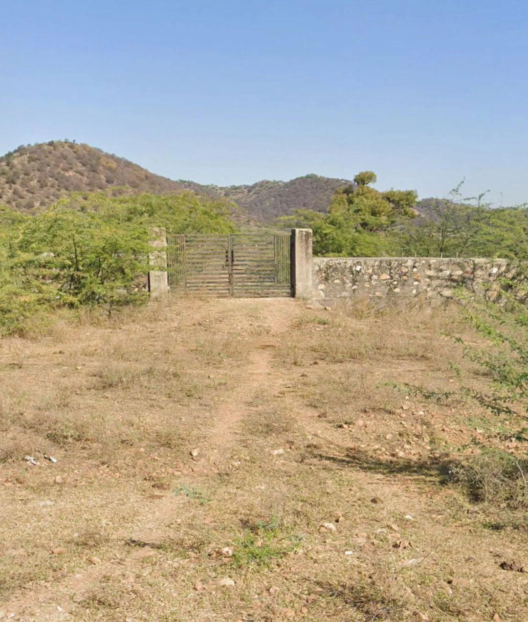 Chachiyawas, Ajmer, Rajasthan 305023, India