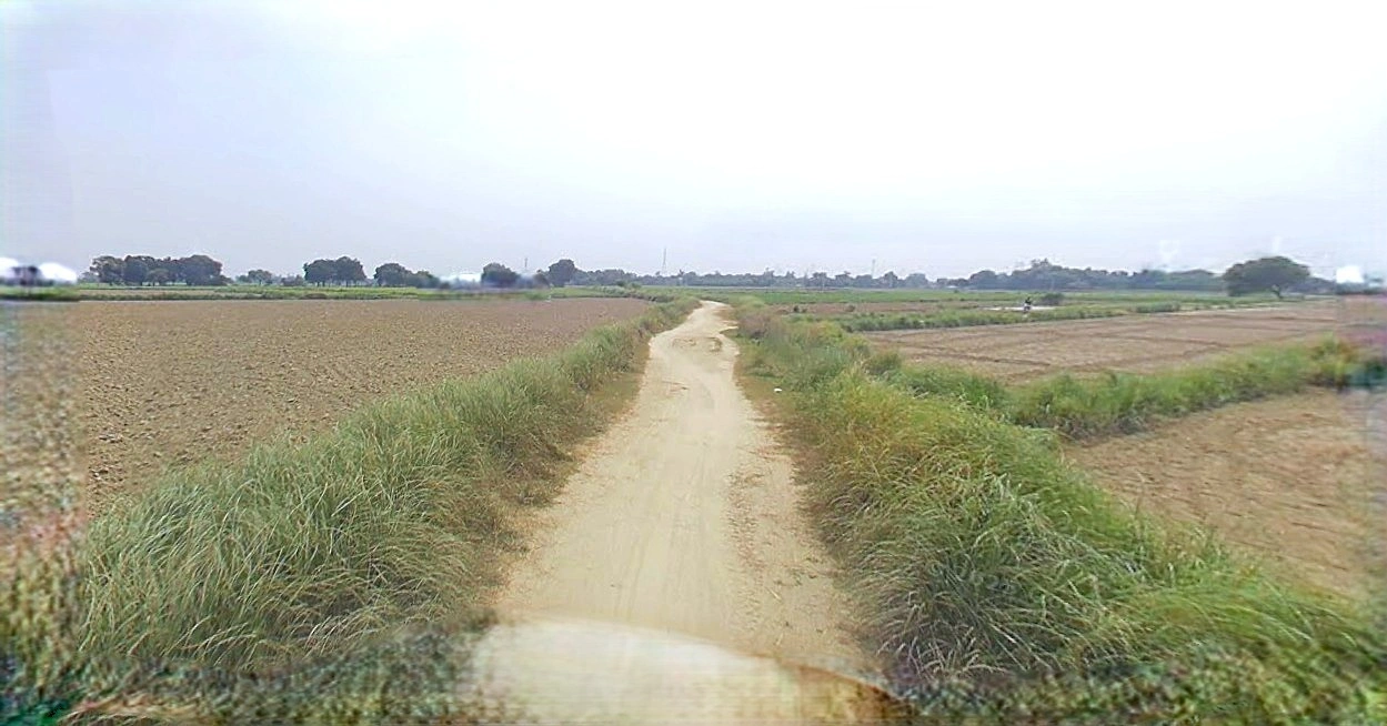 Barnagar, Madhya Pradesh 456771, India