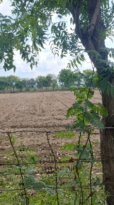 4F9J+2W Bhadlao, Sawai Madhopur, Rajasthan, India preview 3